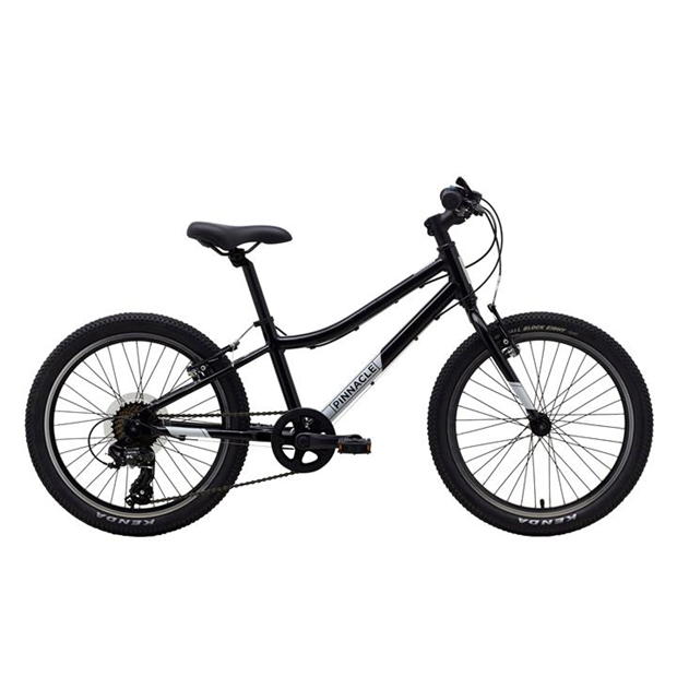 Pinnacle Ash 20 Inch Kids Bike