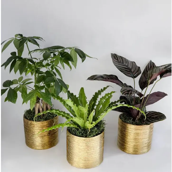 Creative Floor Planter Made Of Iron Steel Customize Size And Color Decorative Planter For Your Garden Home Balcony