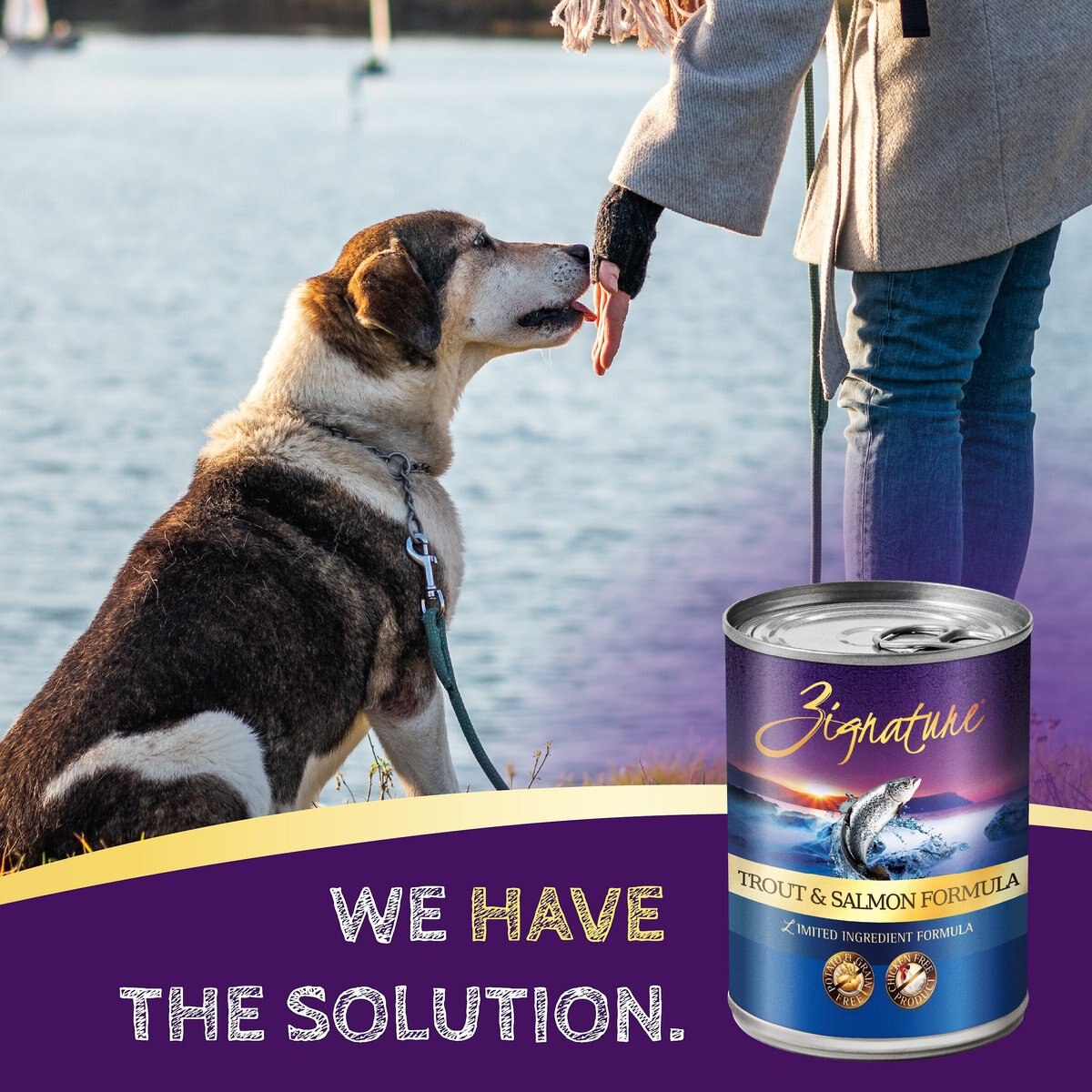 Zignature Trout and Salmon Limited Ingredient Formula Canned Dog Food