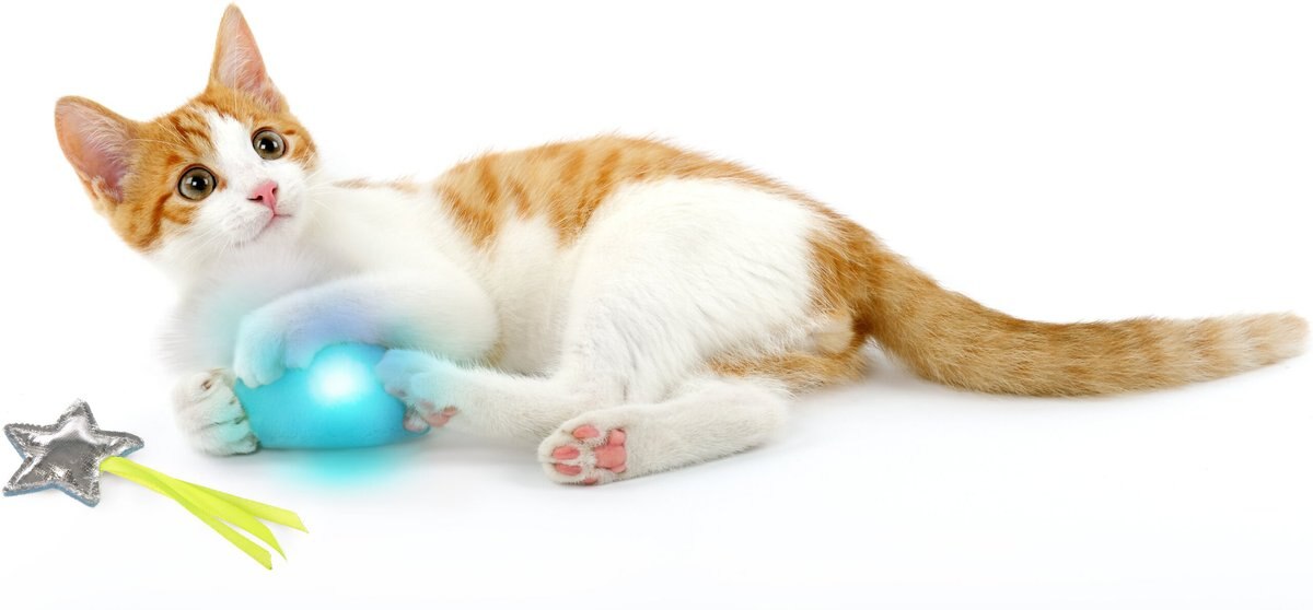 SmartyKat Twinkle Time Cloud and Star Electronic Light Toy and Plush Cat Toy， Small， 2 count