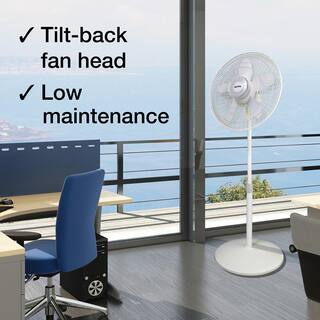 Air King 18 in. Commercial Grade Oscillating Pedestal Fan 9119