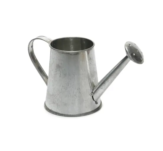 Cute Design Handmade Metal Watering Can Wholesale Manufacturer New Design Home Decoration Watering Can