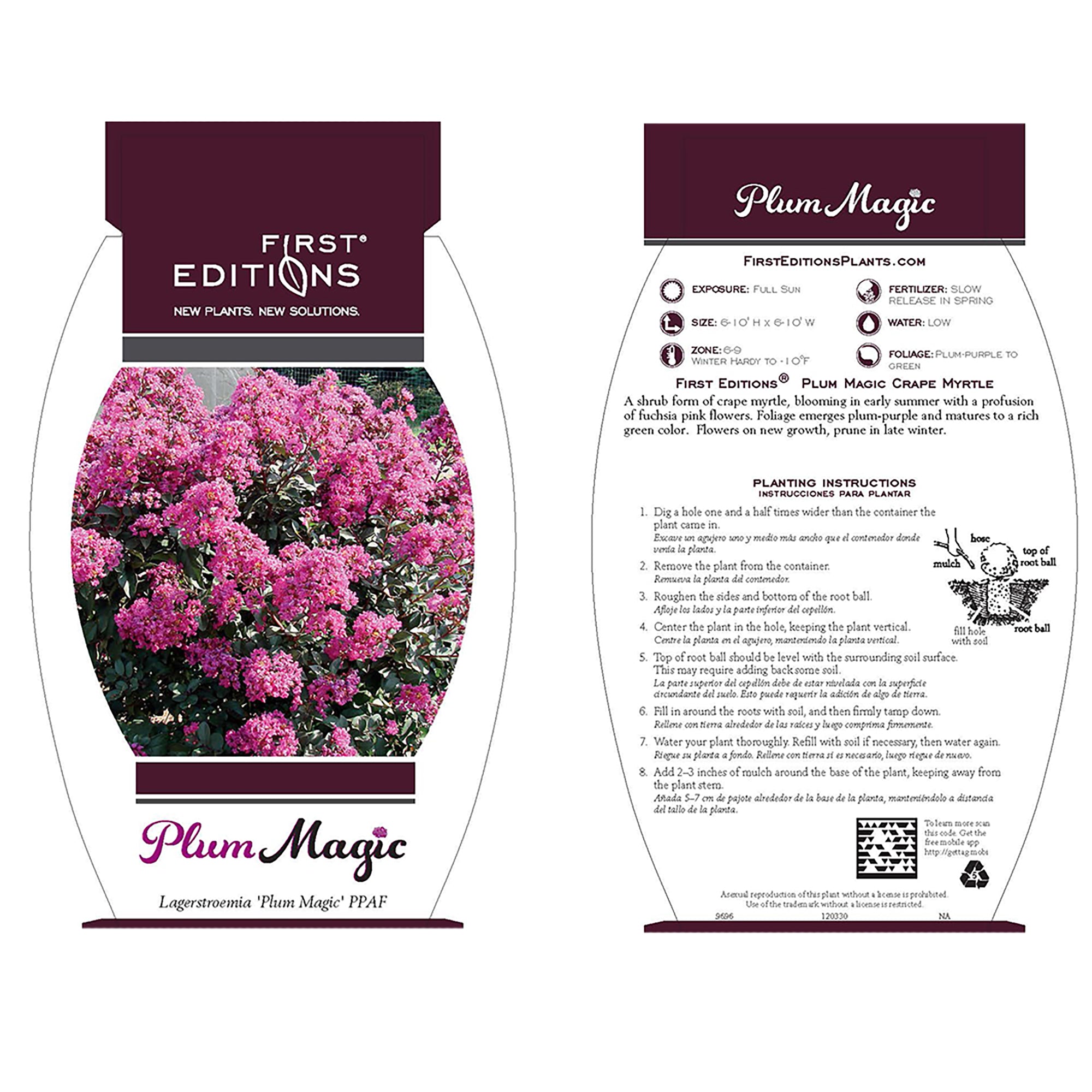 First Editions Plum Magic Crape Myrtle Live Shrub (7 Gallon)