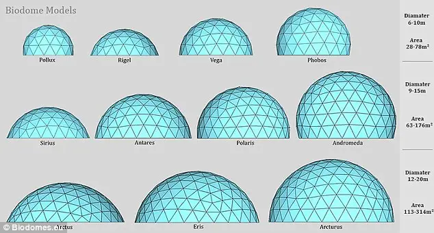 Steel Frame Transparent pvc Geodesic Garden Igloo Dome