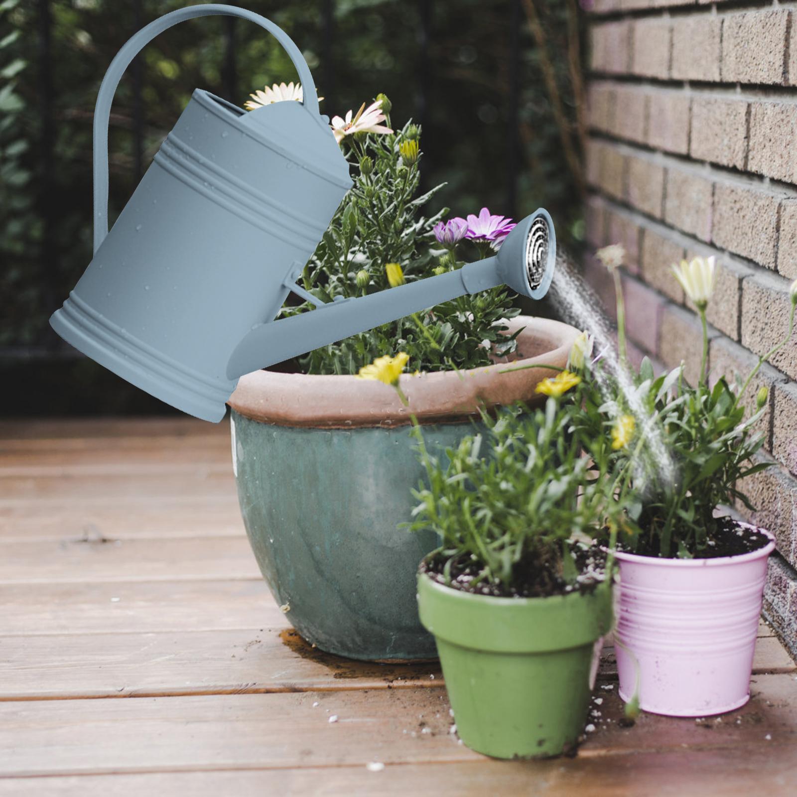 Watering Can Flower Watering Large Capacity with Handles Sprinkler Head for Garden , Blue