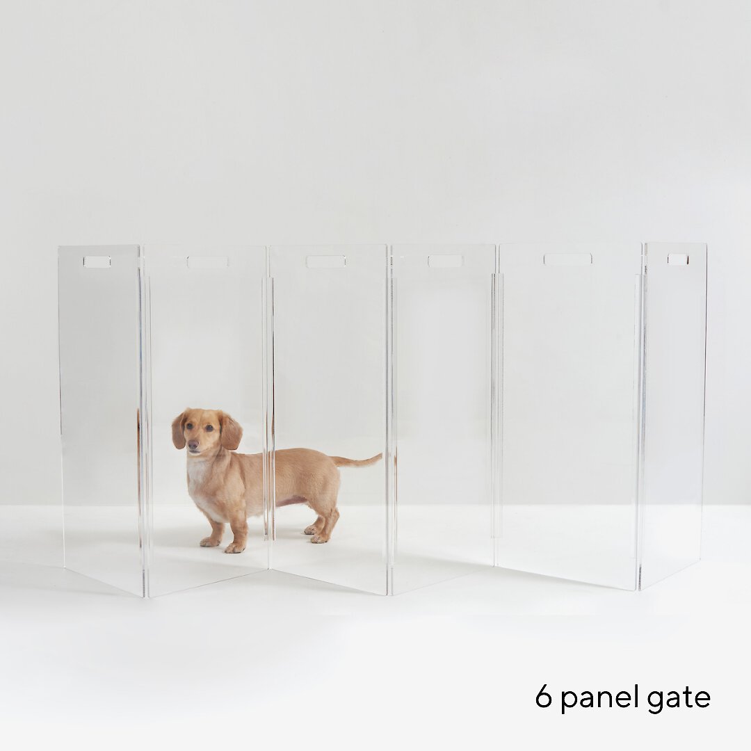 Hiddin Clear View Zig Zag Freestanding Dog Gate