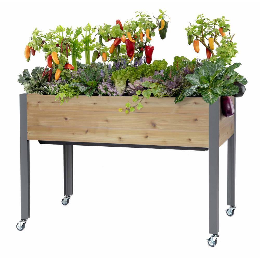 cedarcraft Beautiful. Functional. Sustainable. 21 in. x 47 in. x 32 in. H Self-Watering Cedar Planter CC_SW2147AC