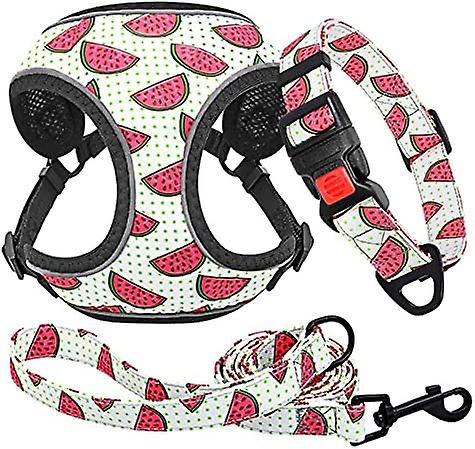 Yoitea Multi-colored Reflective Dog Vest Harness And Leash Collar Set For Puppy Small Animals