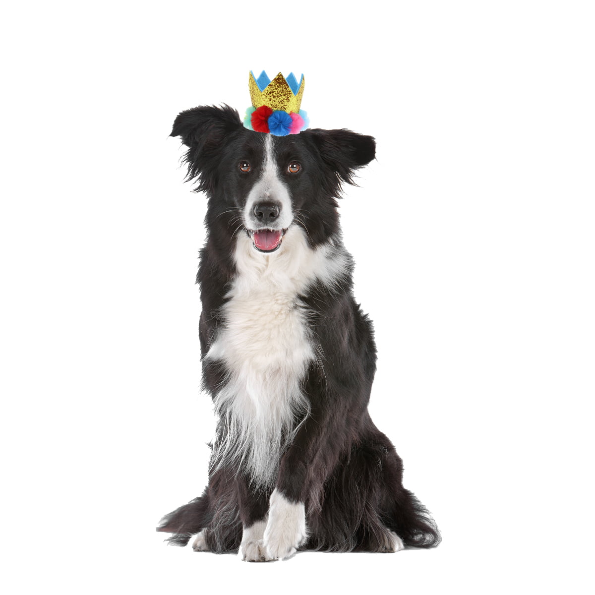 Packed Party Dog Party Crown