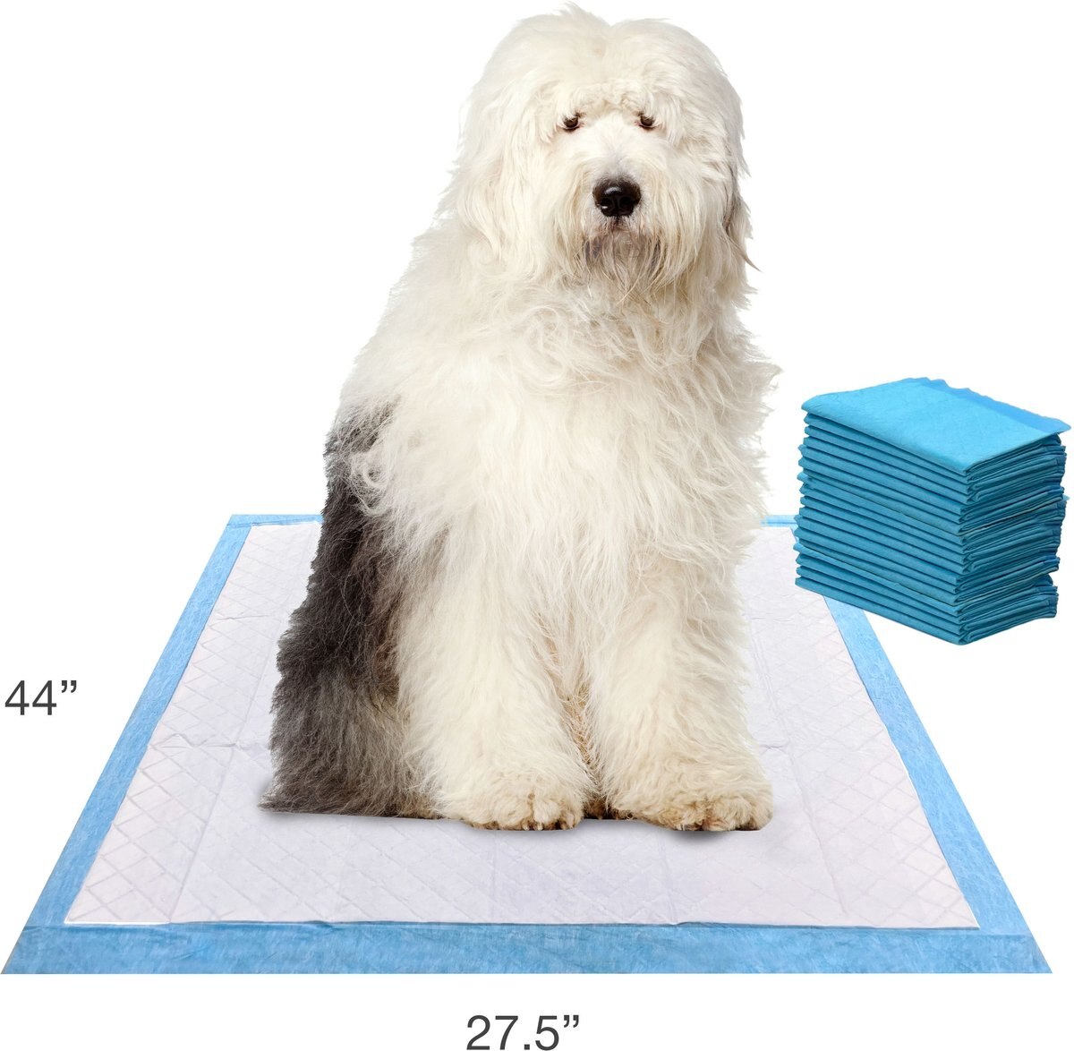 Four Paws Wee-Wee Gigantic Dog Training Pads， 18 count