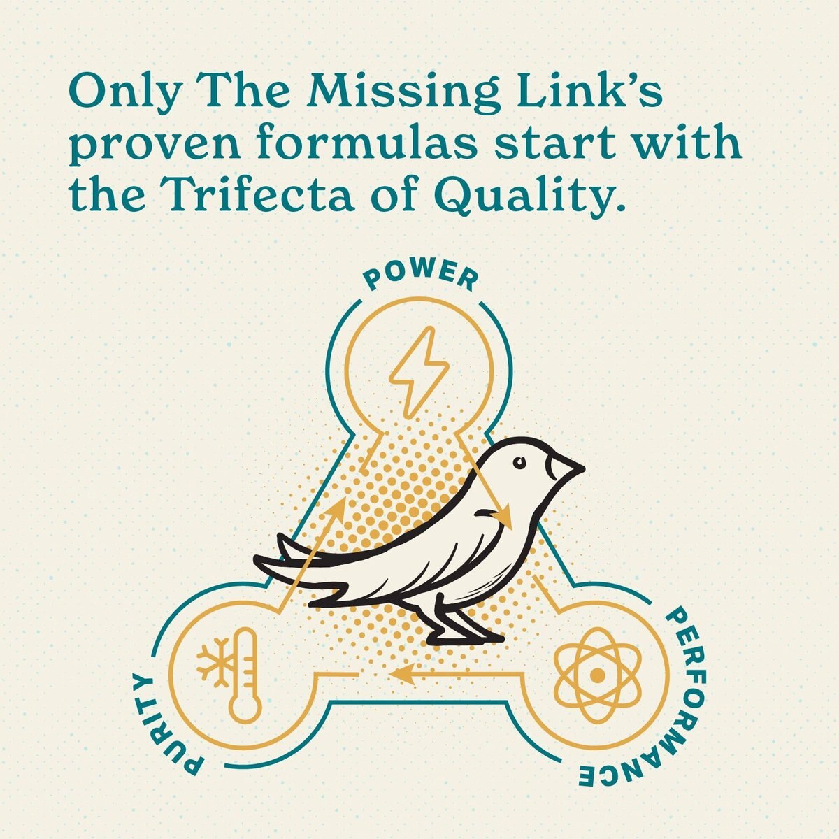 The Missing Link Superfood Powders Avian Color and Shine Bird Supplement