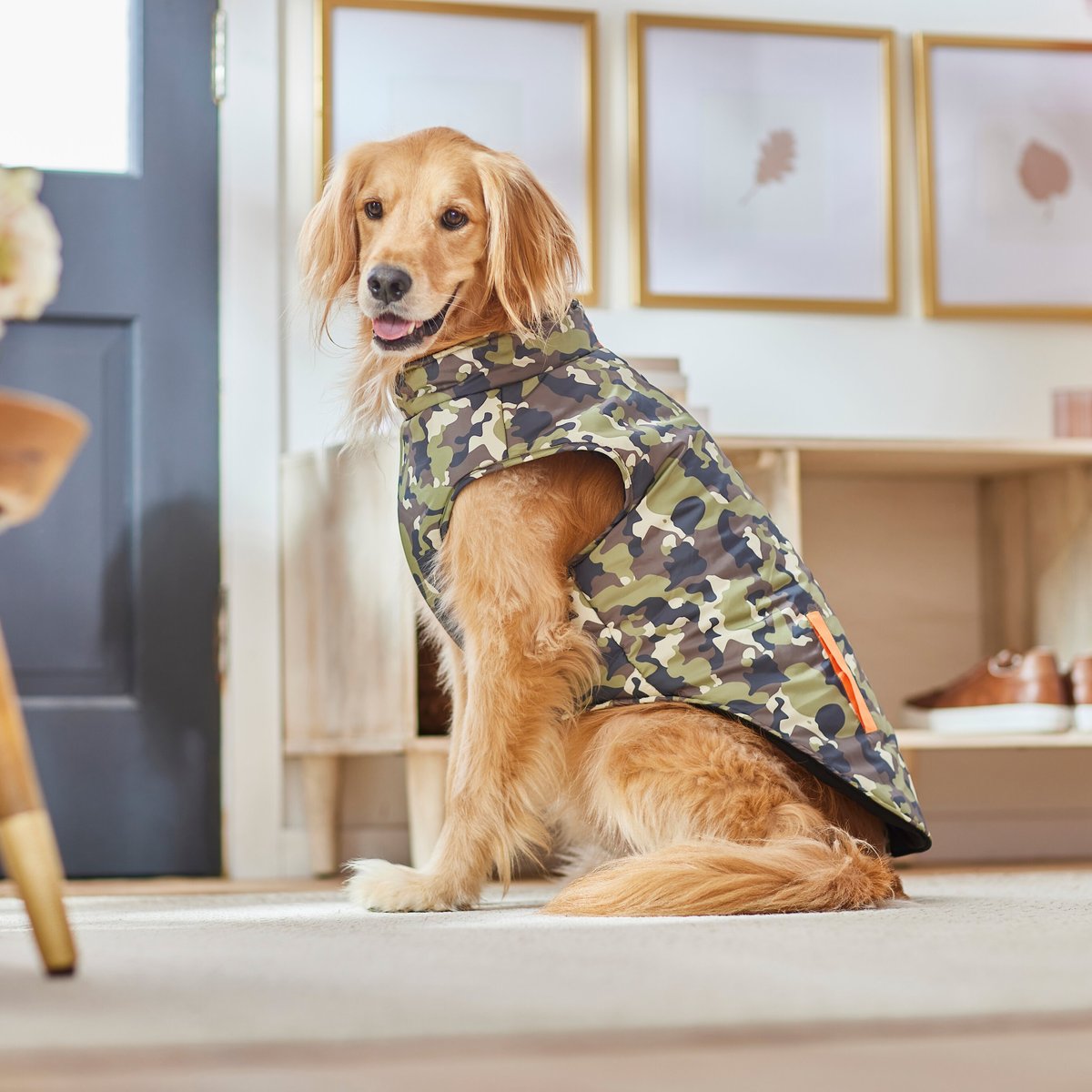 Frisco Camo Print Insulated Dog and Cat Zippered Coat， Green