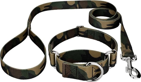 Country Brook Design Woodland Camo Polyester Martingale Dog Collar and Leash