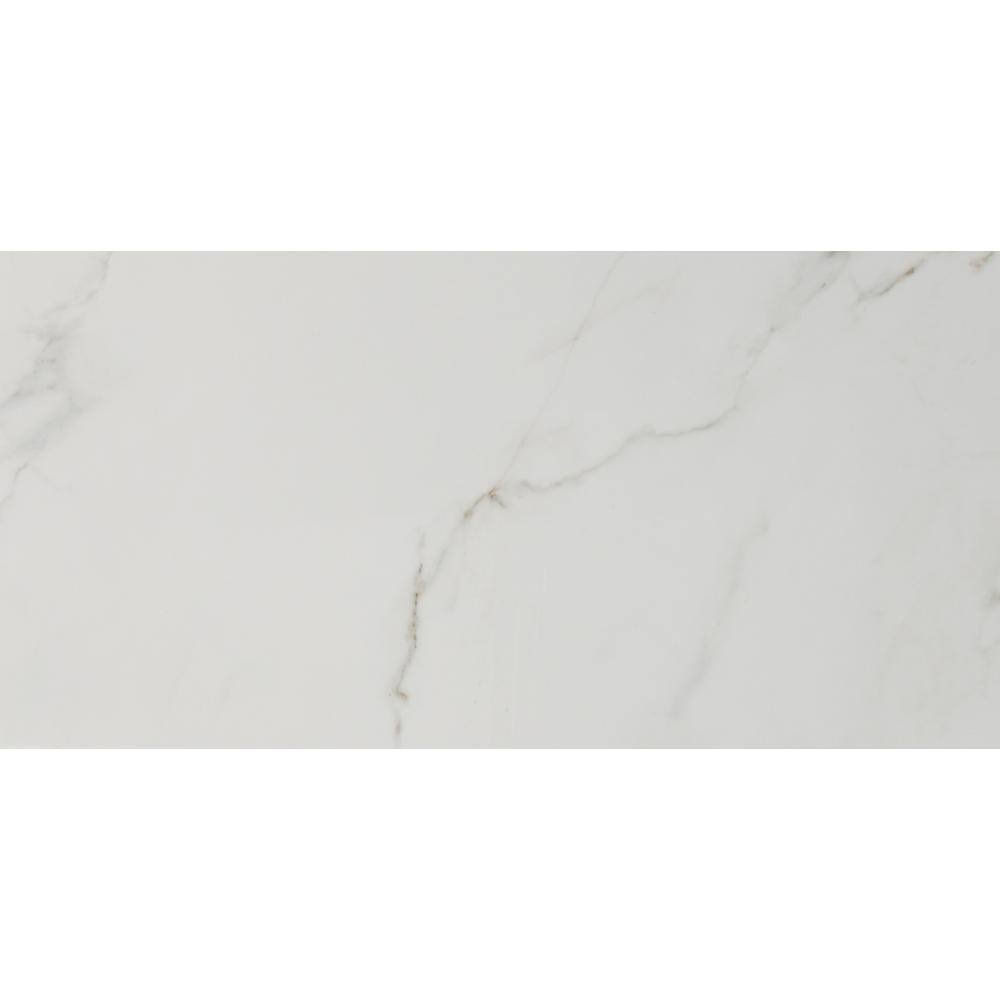 MSI Carrara White 12 in. x 24 in. Matte Porcelain Stone Look Floor and Wall Tile (16 sq. ft.Case) NHDCARWHI1224