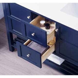 SUPREME WOOD Palisade 48 in. W x 22 in. D x 35.7 in. H Bath Vanity in Navy Blue with Quartz Vanity Top in White with White Basins 22048D-CAB-DB-SQ