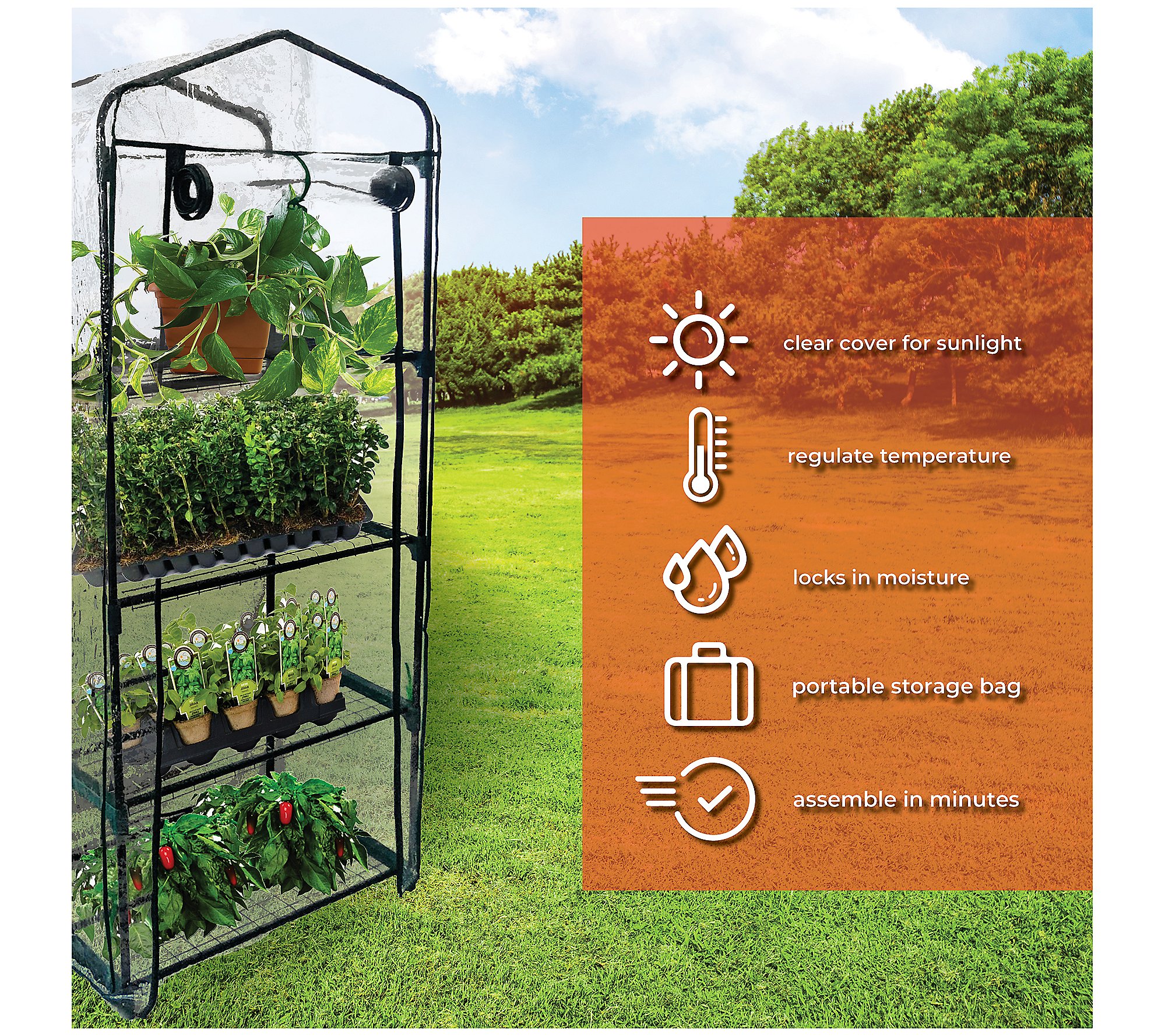 Backyard Expressions 62 x 27 Portable 4-TierGreenhouse