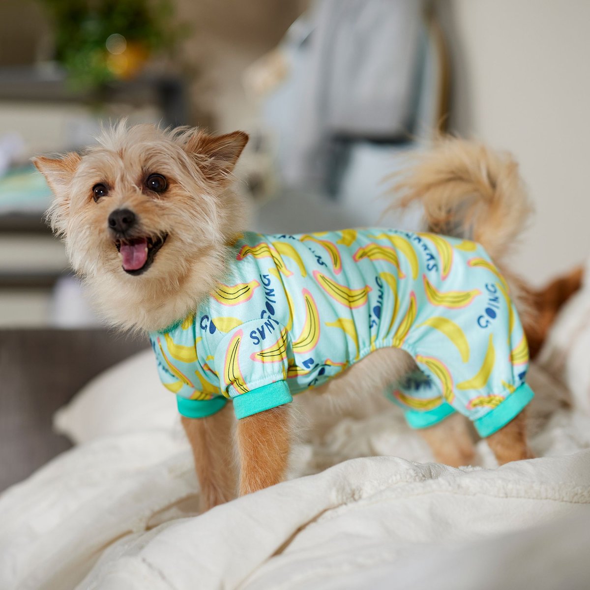 Frisco Go Bananas Dog and Cat Jersey PJs