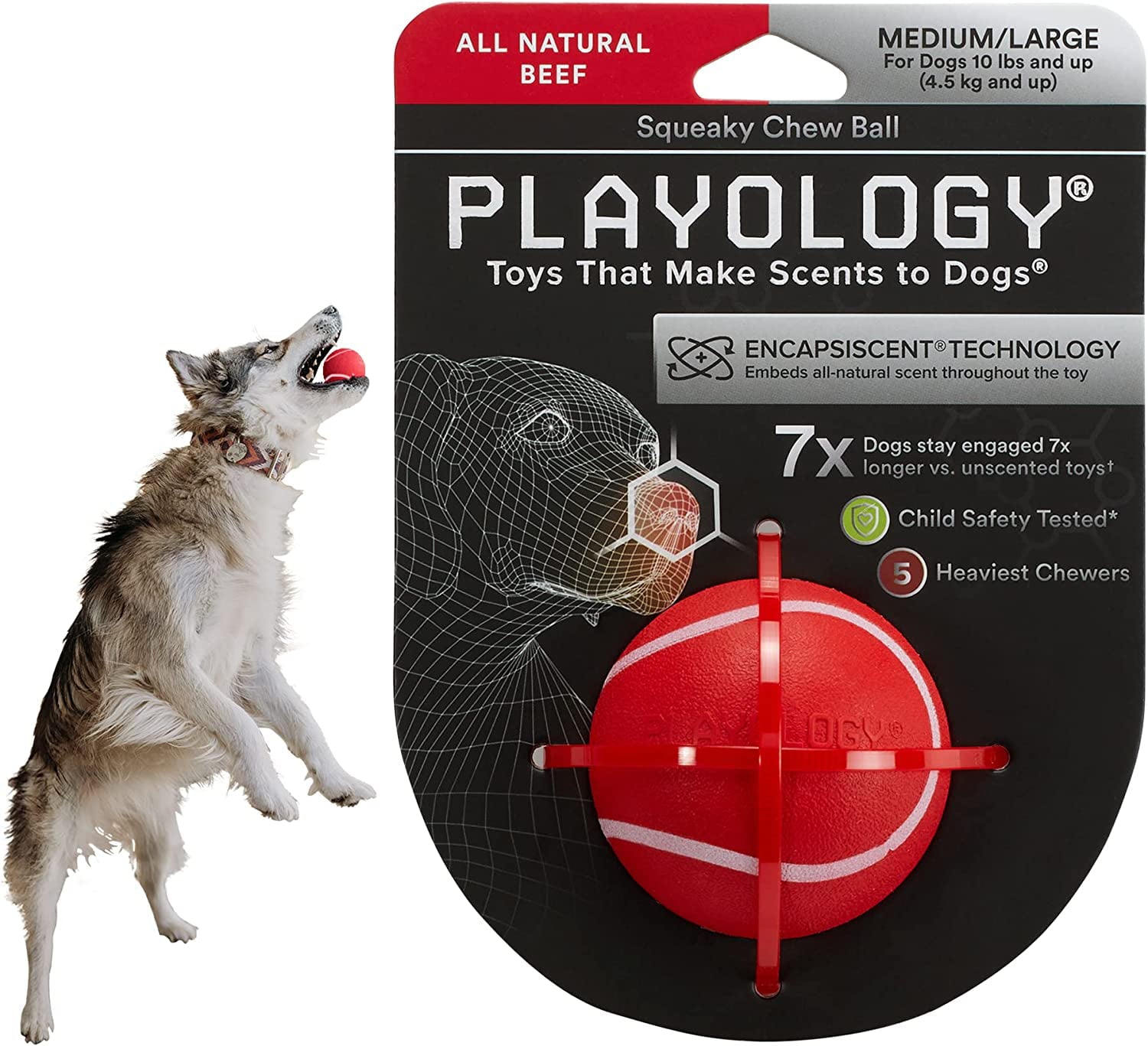 Playology Squeaky Dog Chew Ball Toy， All-Natural Beef Scent， Medium/Large， Red