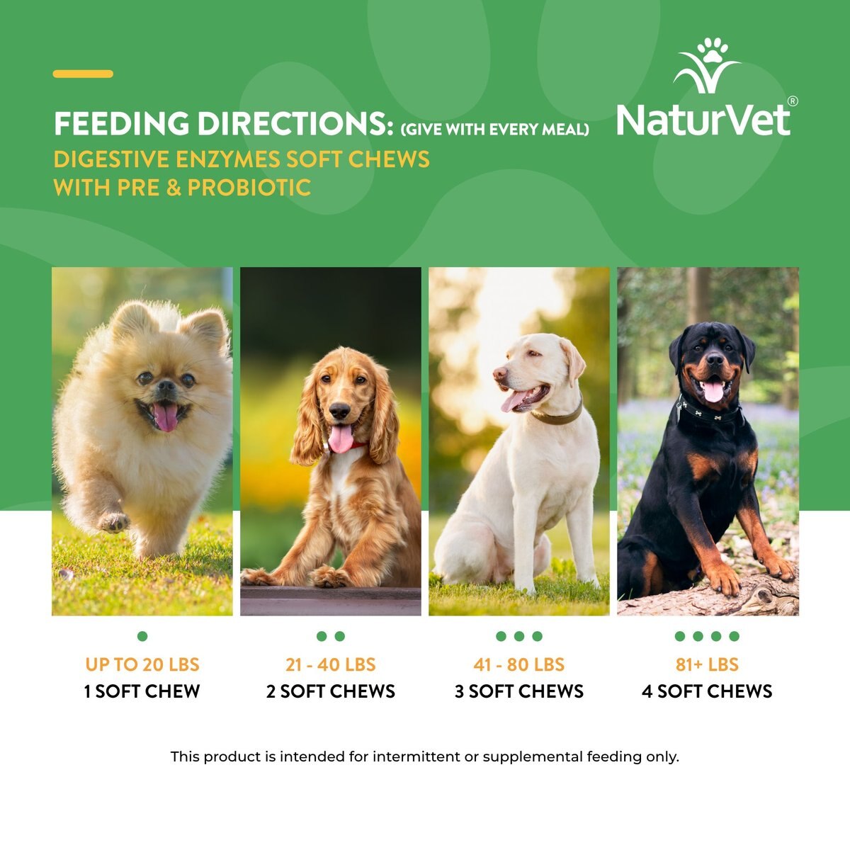 NaturVet Digestive Enzymes Plus Probiotic Soft Chews Digestive Supplement for Dogs