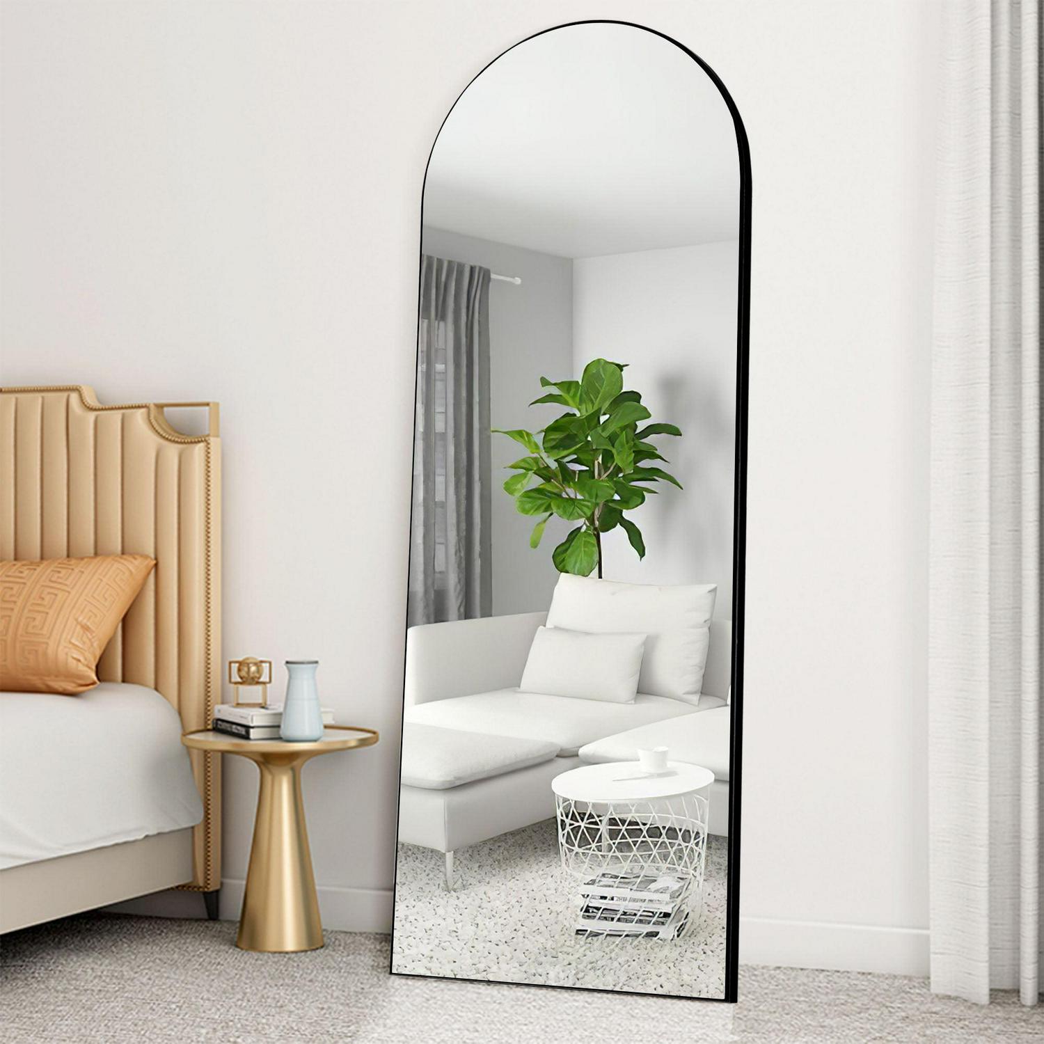 NeuType 22  x 65  Black Modern Floor Mirror  Crowdfused