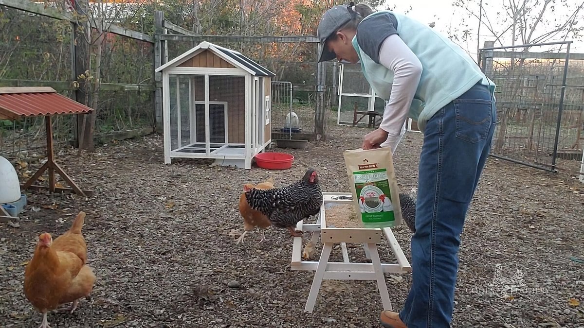 Coops and Feathers Chick-Nic Table Poultry Feeder， Tan and White