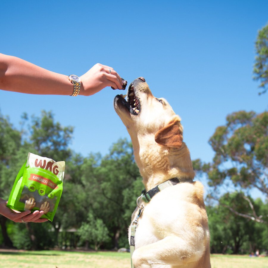 WAG Kangaroo Cubes Grain-Free Dog Treats