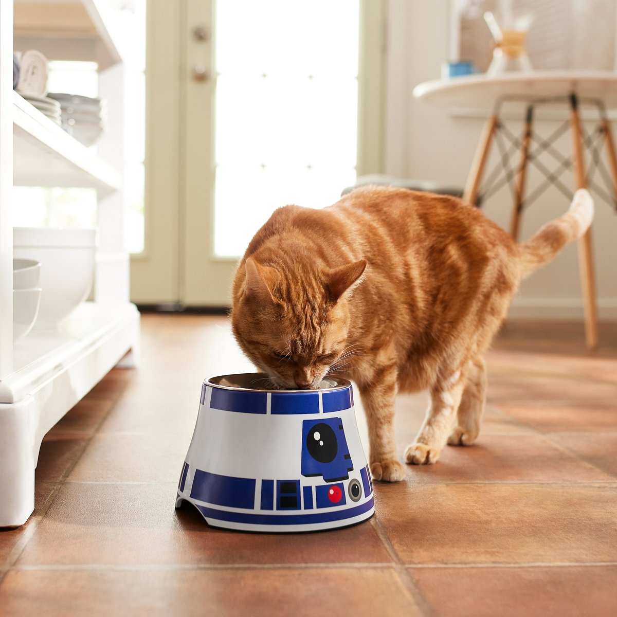 STAR WARS R2-D2 Elevated Melamine Stainless Steel Dog and Cat Bowl， 1.5 Cup