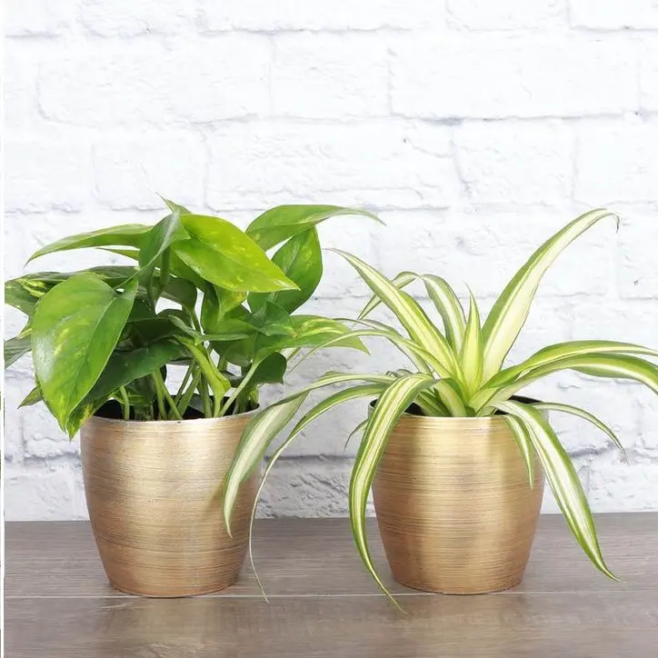 Classic Design Wedding and Party Decorative Pots for Garden Metal Planter Home Indoor Garden Usage Customized Size Metal Planter