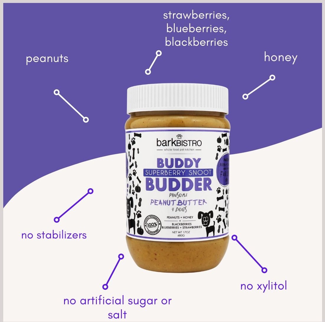 Bark Bistro Company Buddy Budder Superberry Snoot Peanut Butter Lickable Dog Treat， 17-oz jar