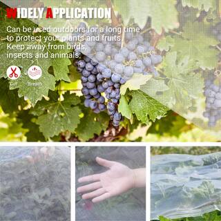 Bigroof 10 ft. x 100 ft. Bug Net Insect Bird Netting Garden Netting Protect Plants Fruits Flowers 246000042-THD