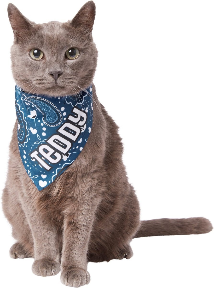 Frisco Paisley Printed Personalized Dog and Cat Bandana