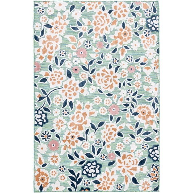 Cabana Cbn485 Power Loomed Indoor outdoor Area Rug Safavieh