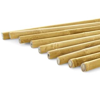 Ecostake 5 ft. x 58 in. Natural Bamboo Eco-Friendly Garden Plant Stakes for Climbing Support (150-Pack) BBC514N150