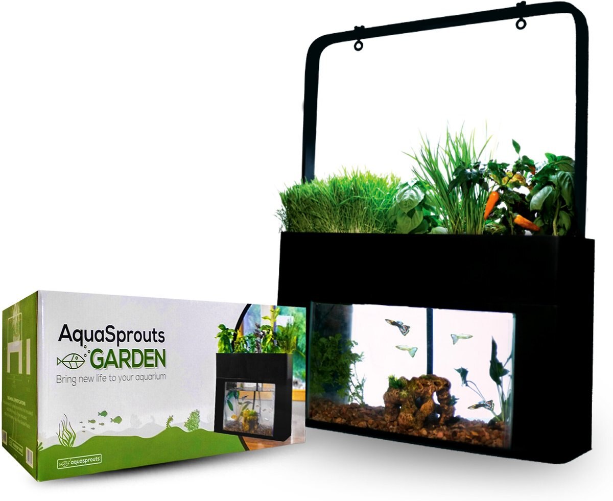 AquaSprouts Garden Self-Sustaining Desktop Aquarium Aquaponics Ecosystem， 10-gal