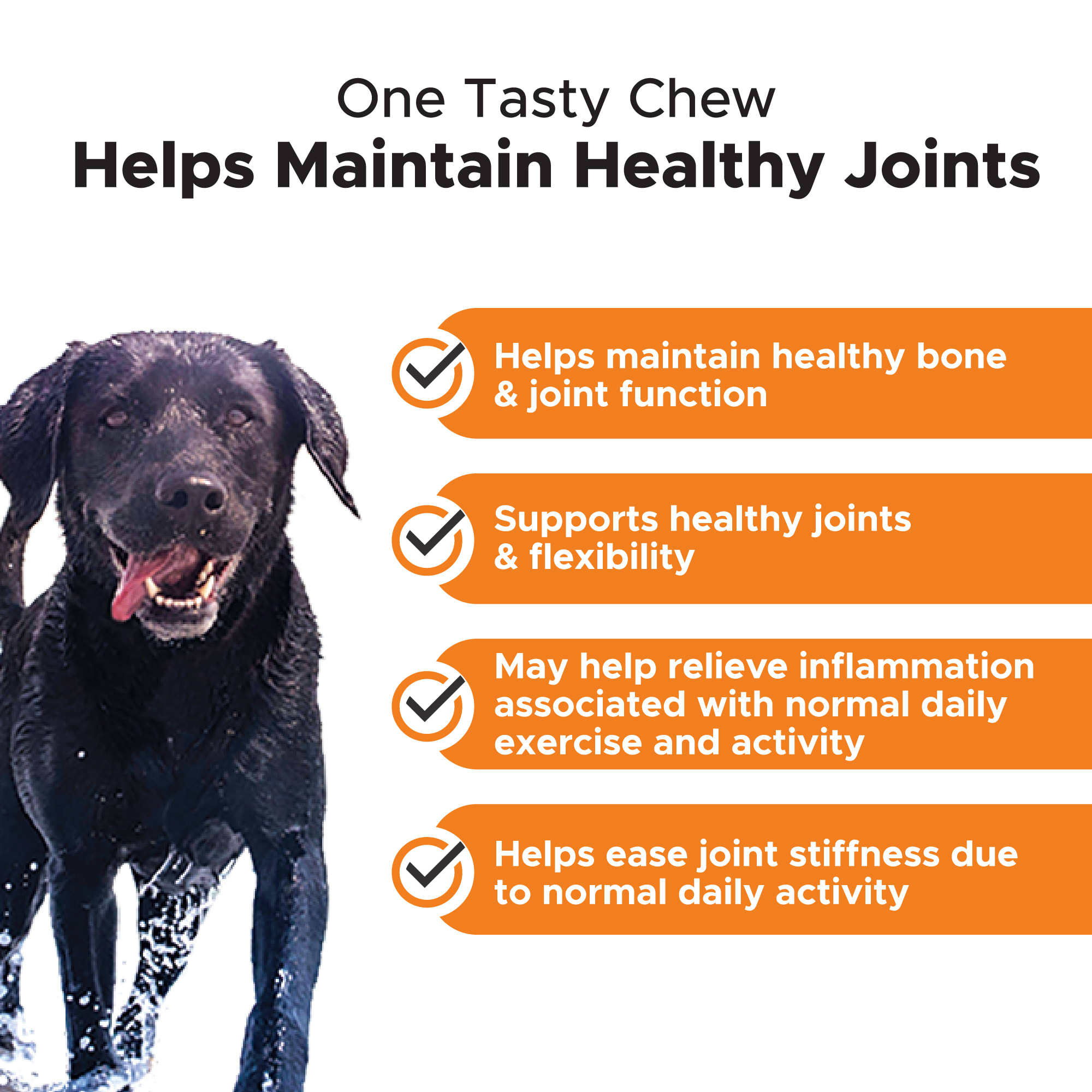 Pet Honesty Hip + Joint Health Soft Chicken Chews for Dogs， Count of 90