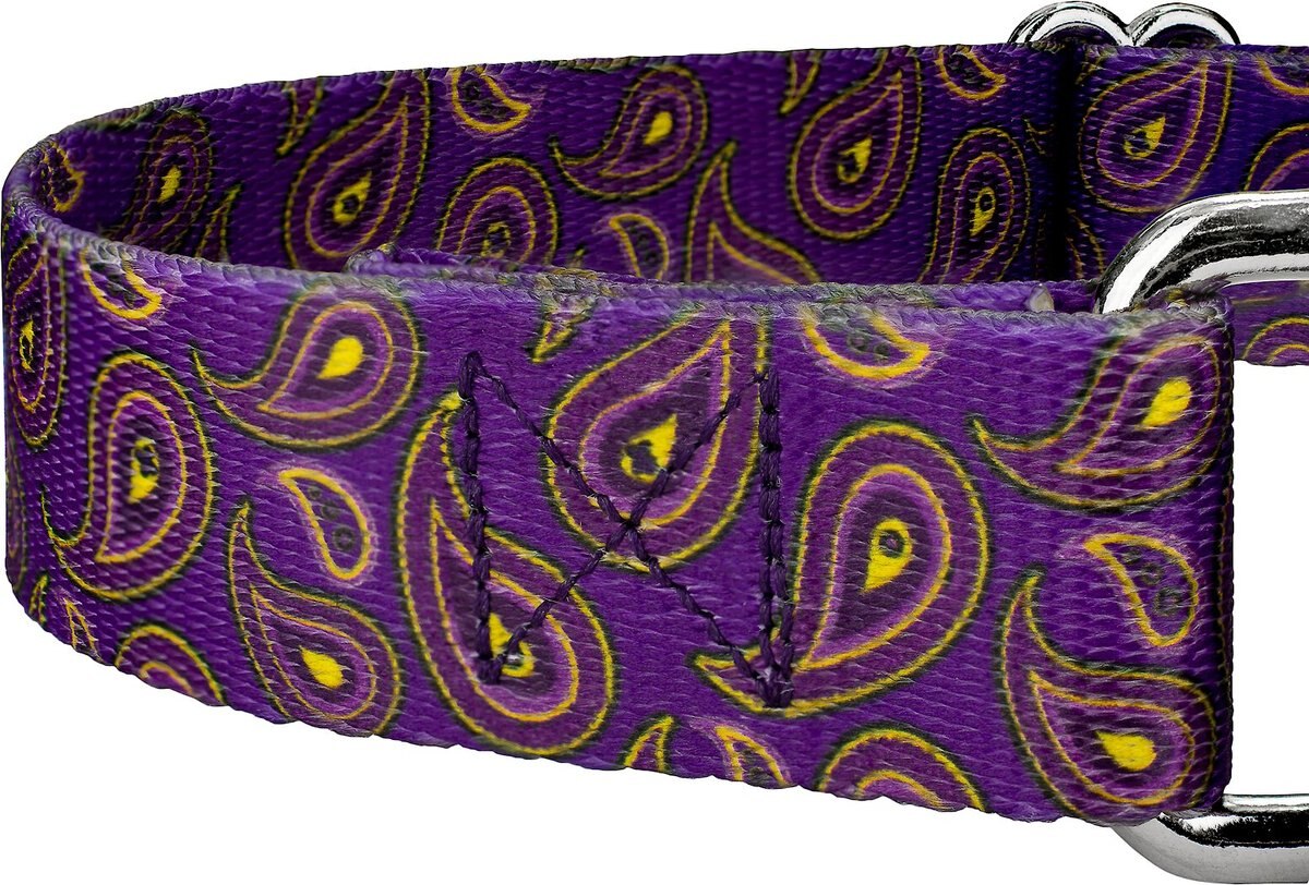 Country Brook Design Paisley Polyester Martingale Dog Collar