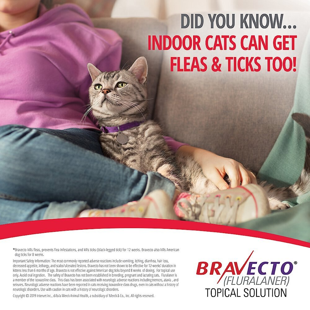 Bravecto Topical Solution for Cats， 6.2-13.8 lbs， (Blue Box)