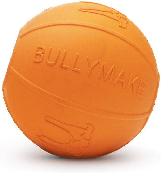 BULLYMAKE Beach Ball Dog Toy