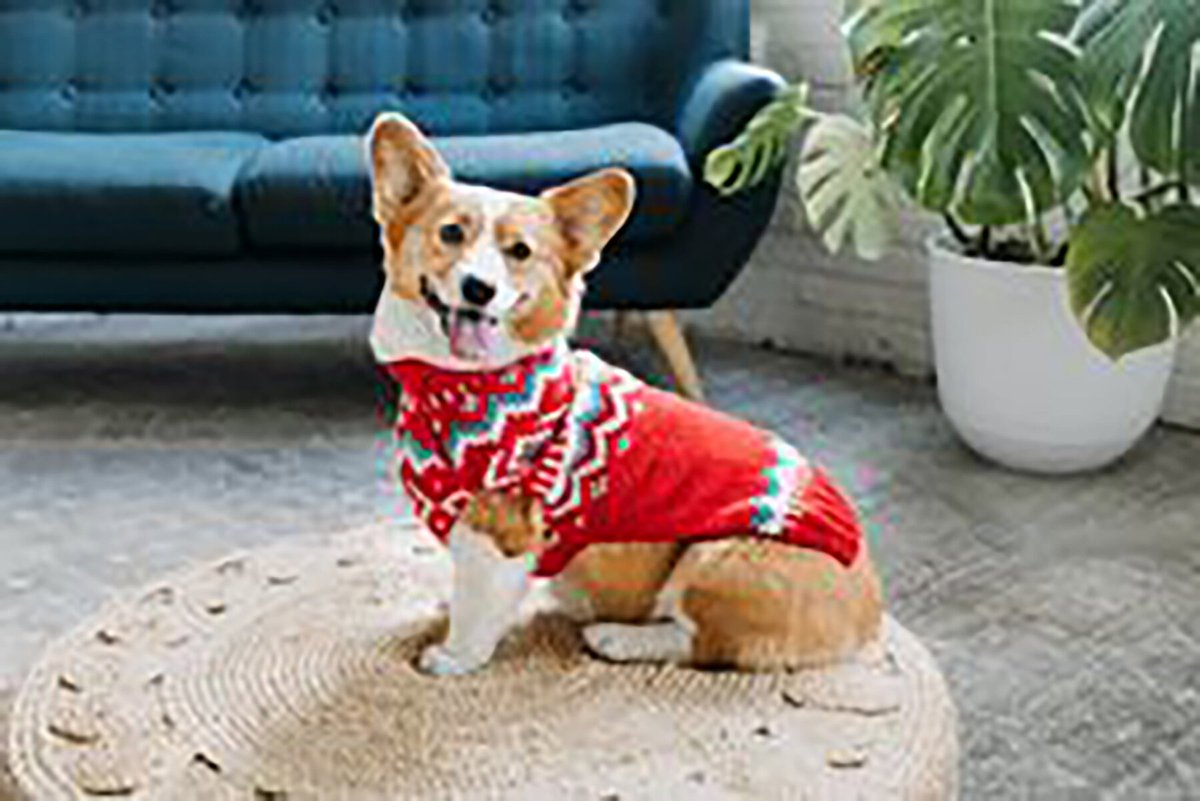 Chilly Dog Red Nordic Wool Dog Sweater