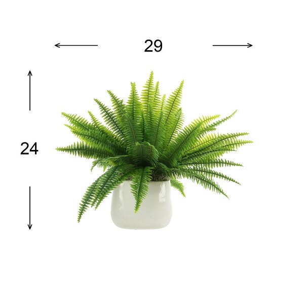 Boston Fern Arranged in Ceramic Pot