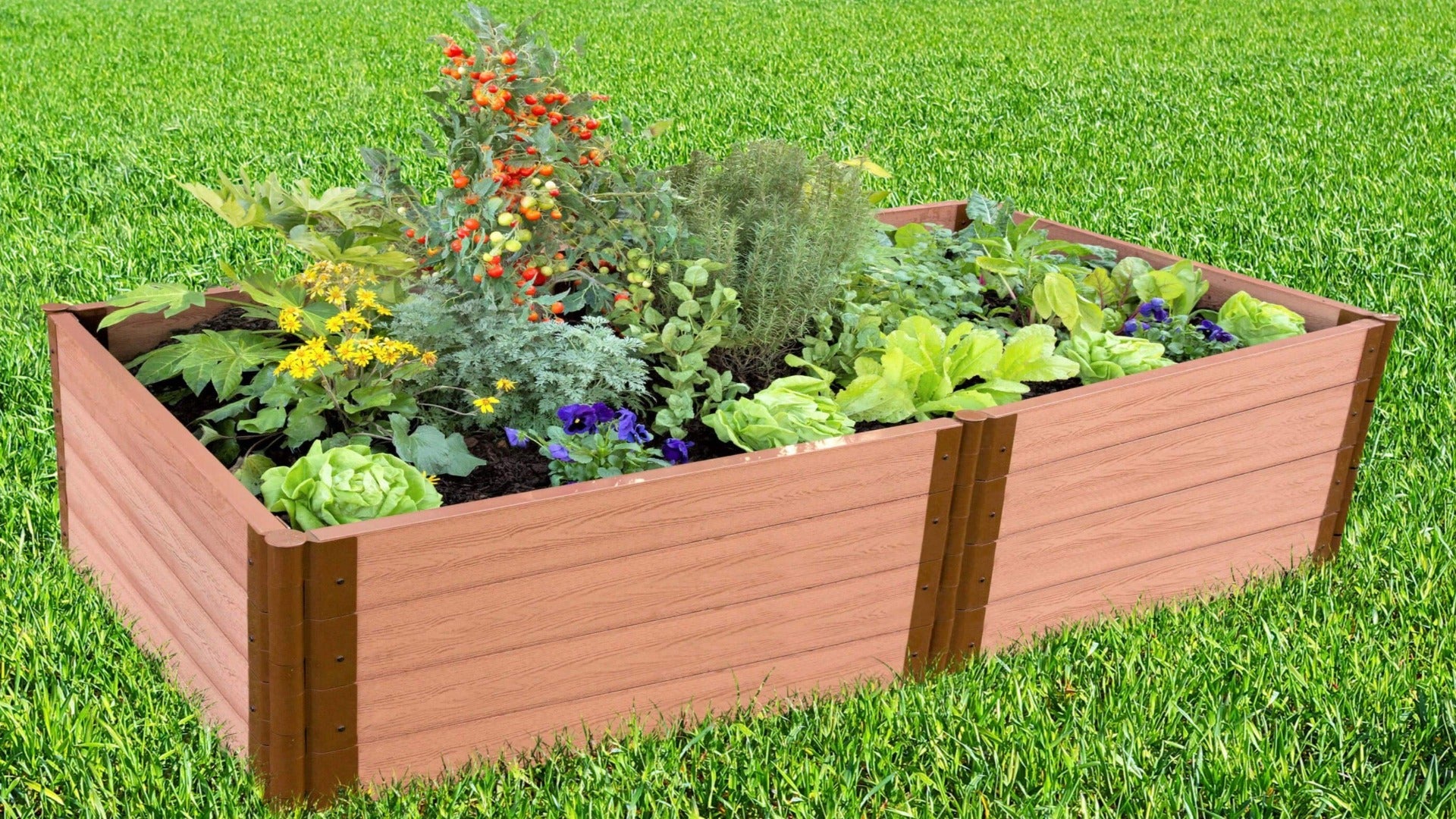 4' x 8' Raised Garden Bed