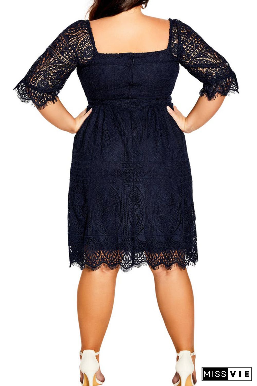 Black Eyelash Lace Square Neck Plus Size Dress