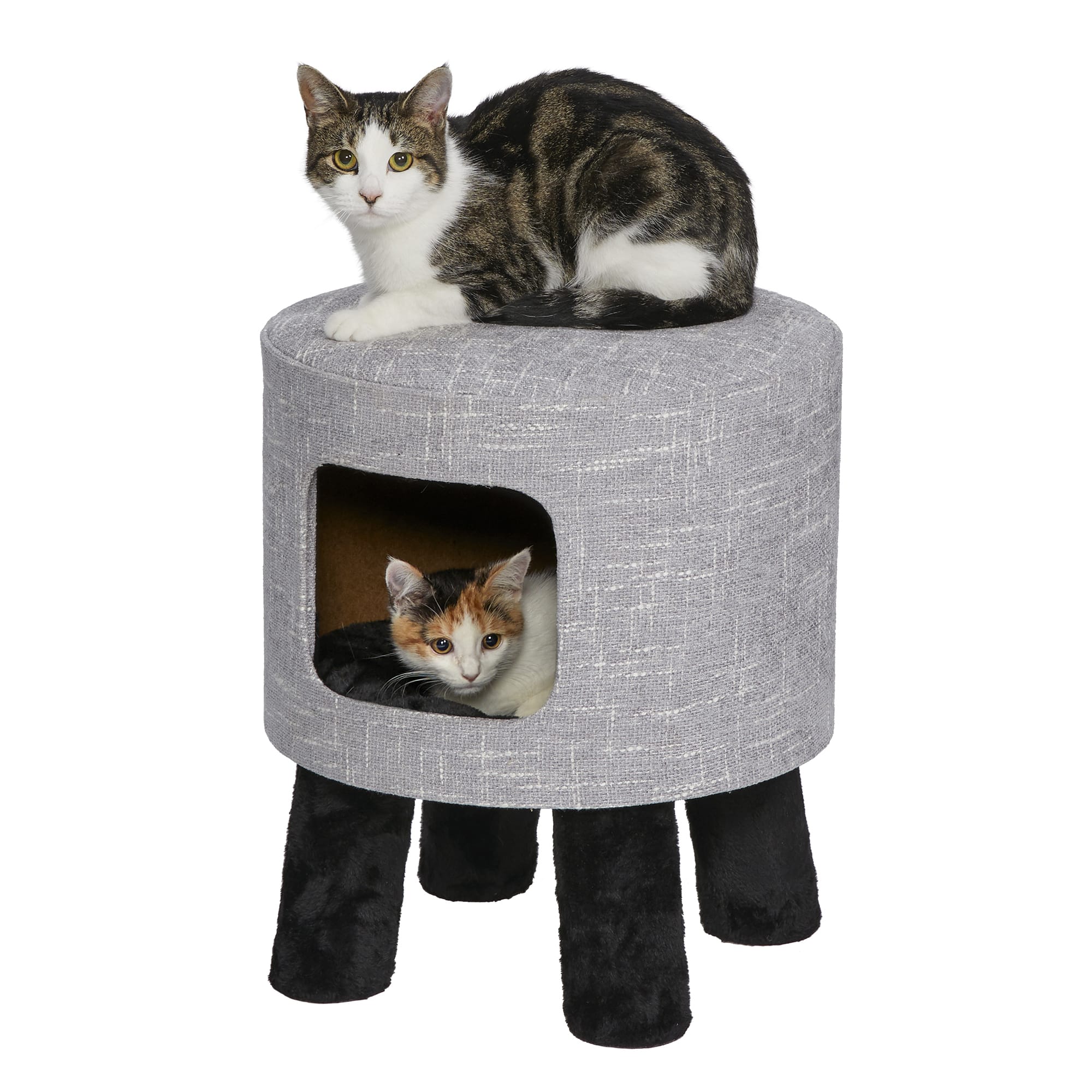 MIDWEST Feline Nuvo Stella for Cat， 18.89