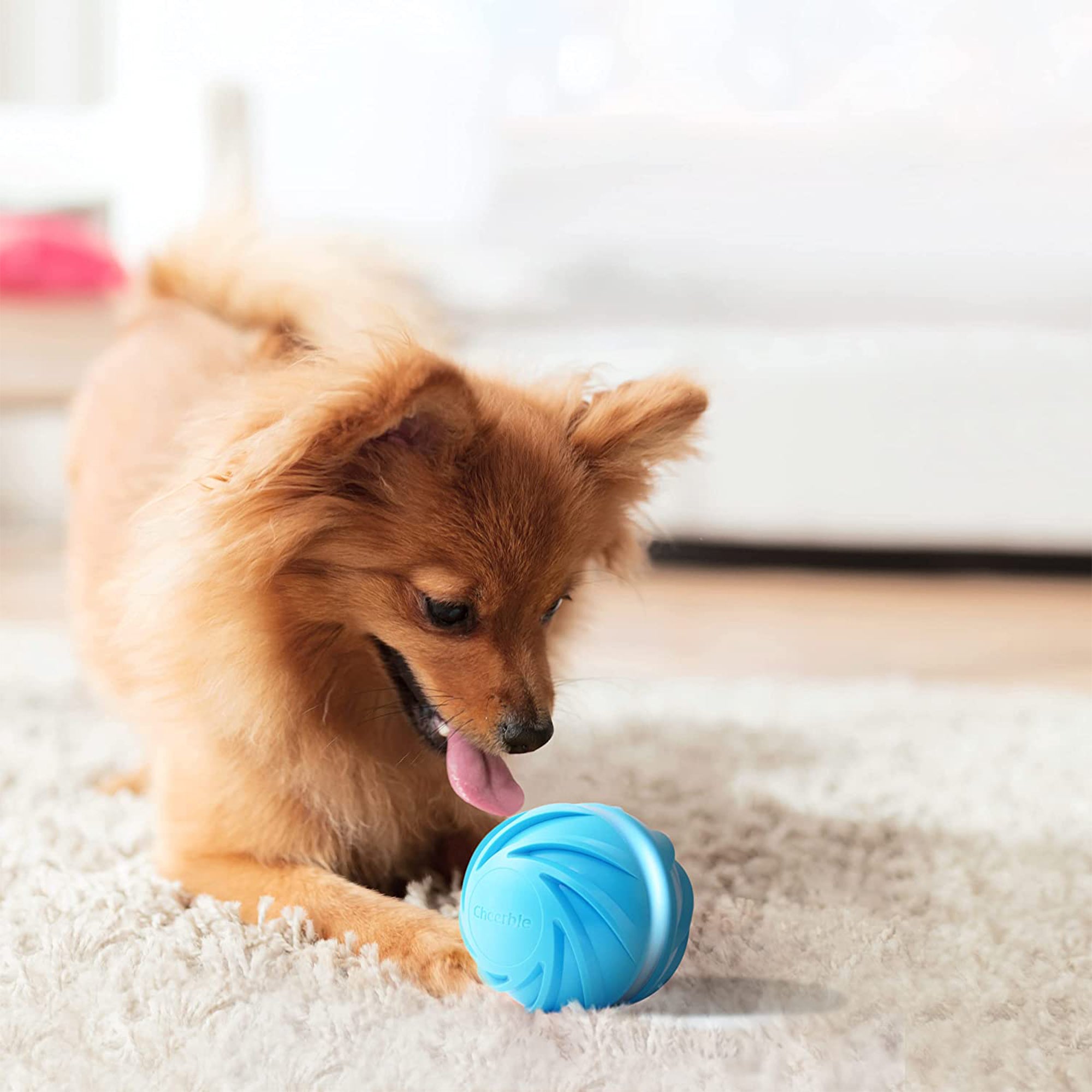 Cheerble Wicked Cyclone Indoor Outdoor Automatic Interactive Dog Toy Ball, Blue