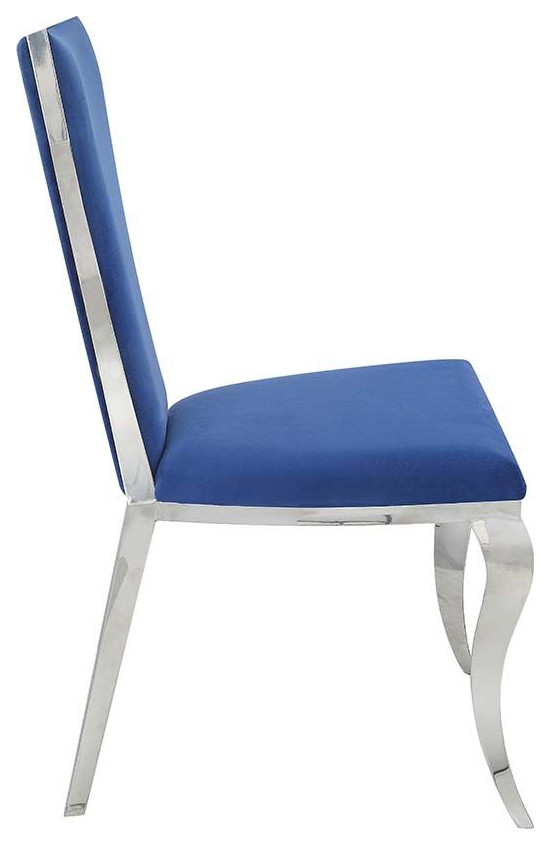 Set of 2 Side Chair  Blue and Gold Finish   Contemporary   Dining Chairs   by Simple Relax  Houzz