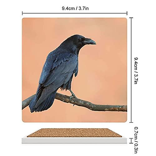 Colourlife Square Drink Coasters 4 Pcs Common Raven On Orange Absorbent Ceramic Coffee Coasters For Drinks With Cork Base Housewarming Gift For Home D