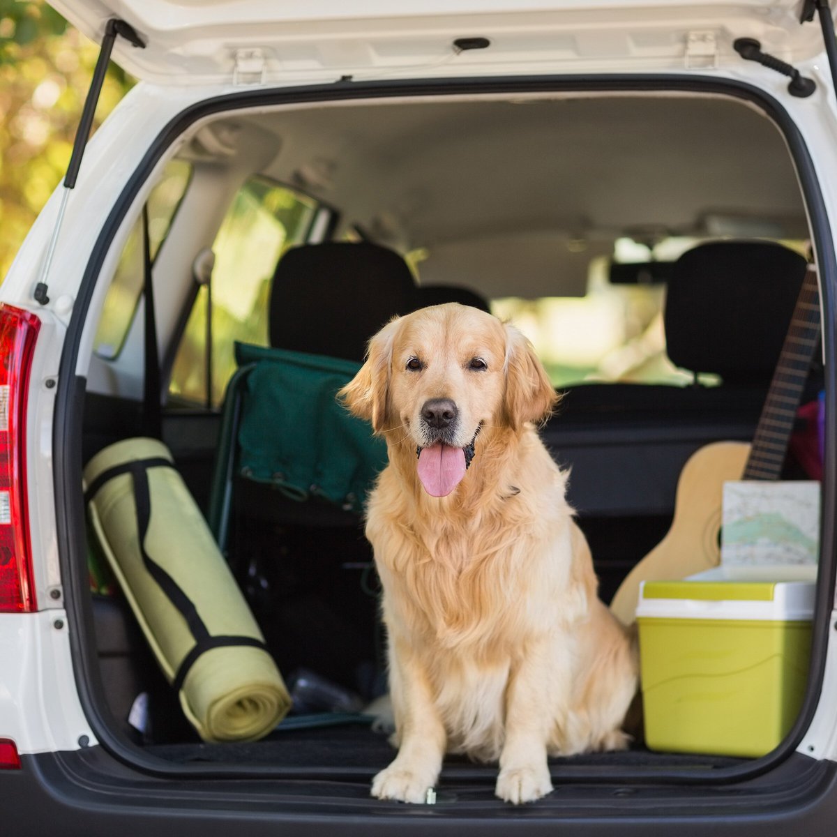 Pet Adobe SUV Cargo Liner Car Seat Cover