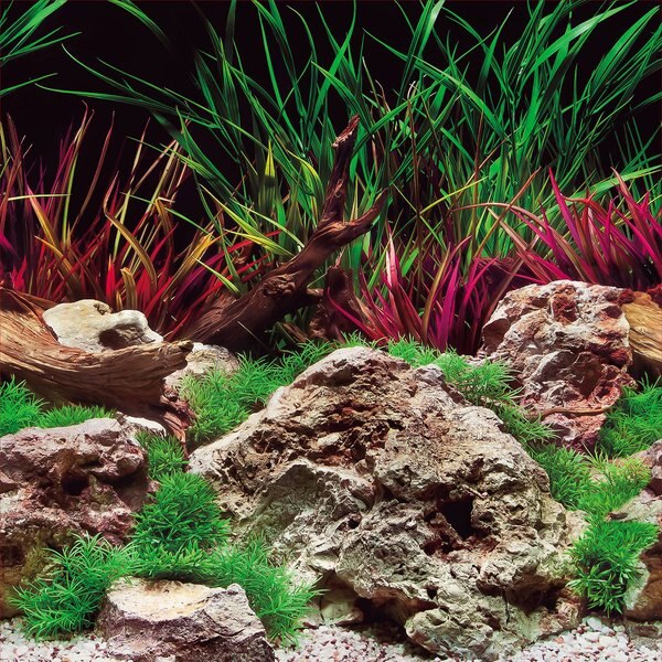 Seaview Aquascape Reversible Background Aquarium Accessory