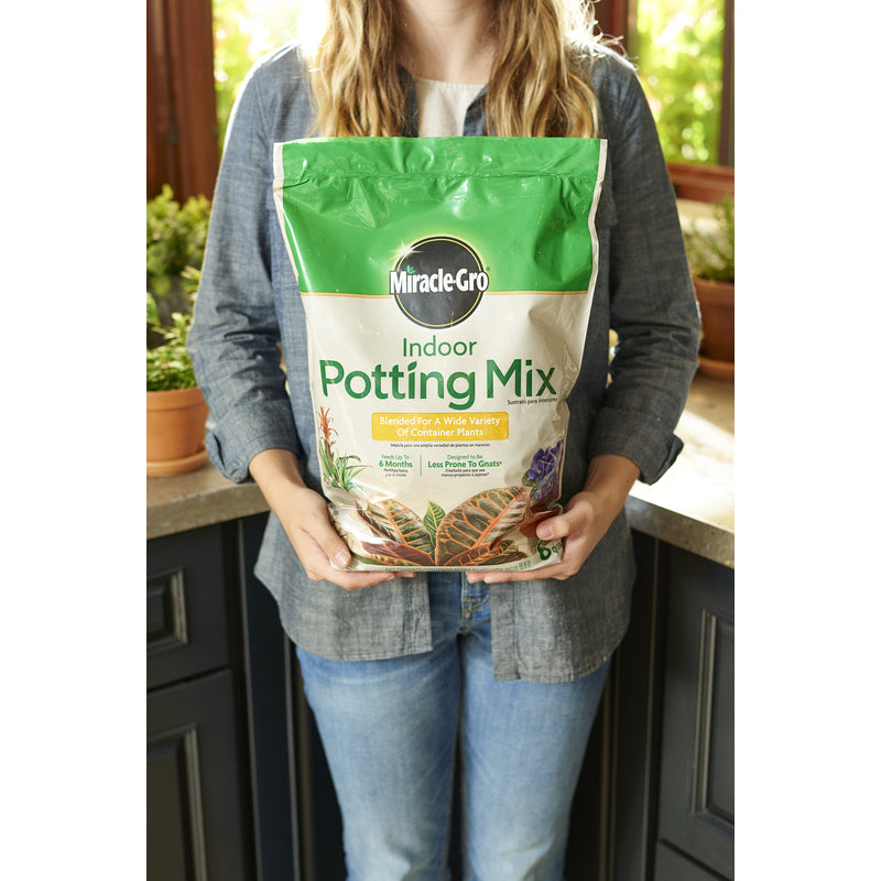 MG INDOOR POTTING MIX6QT