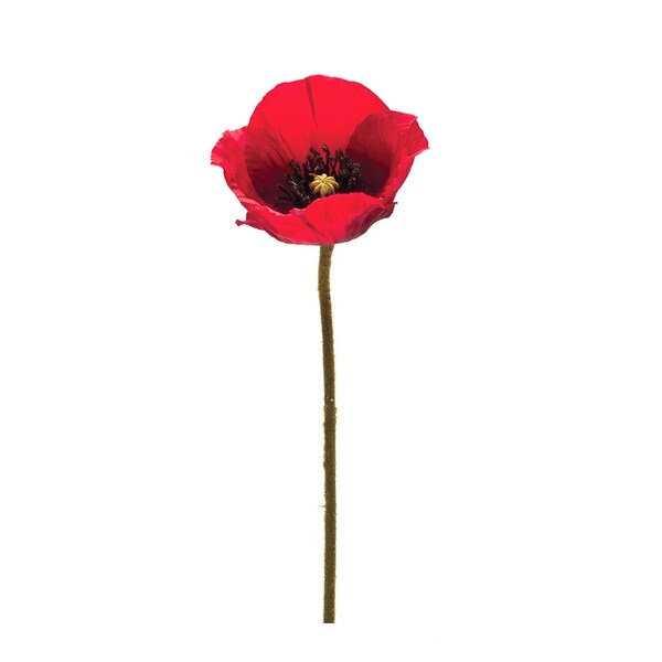 Poppy Spray (Set of 6)